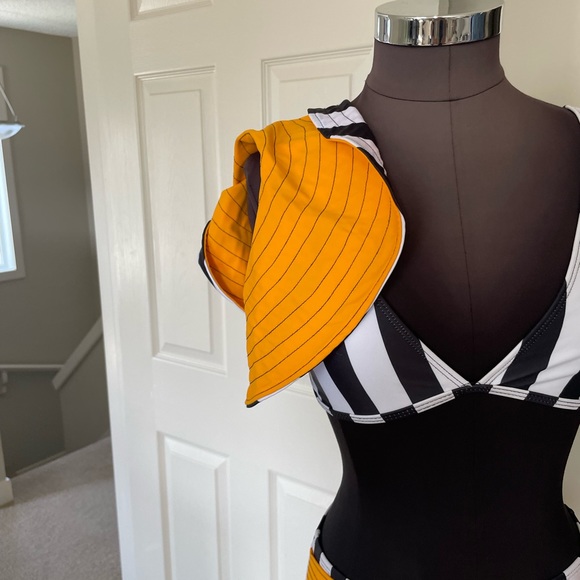 Stripped Bikini - Picture 3 of 6